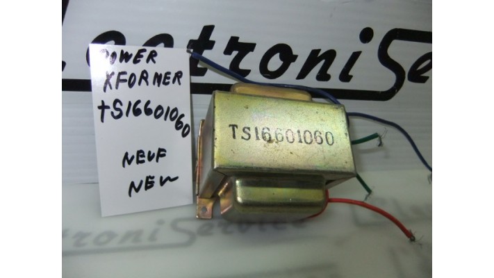 TS16601060 power transformer